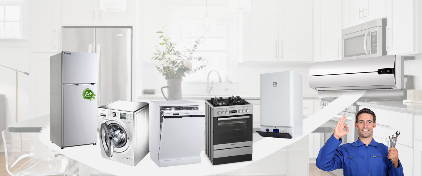 Söğüt Daikin Servisi